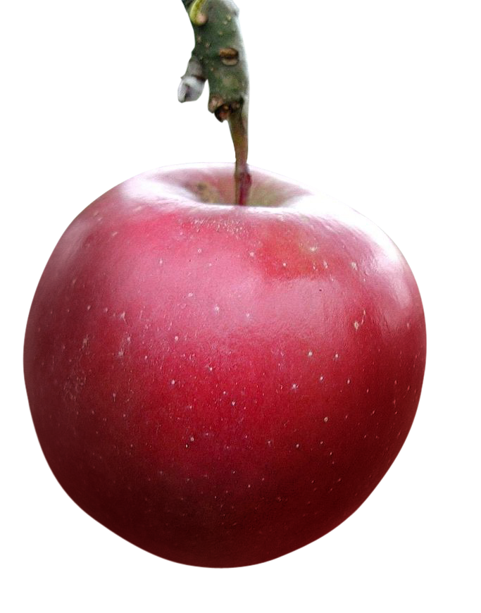 red apple, fresh red apple png, red apple png image, red apple transparent png image, red apple png full hd images download